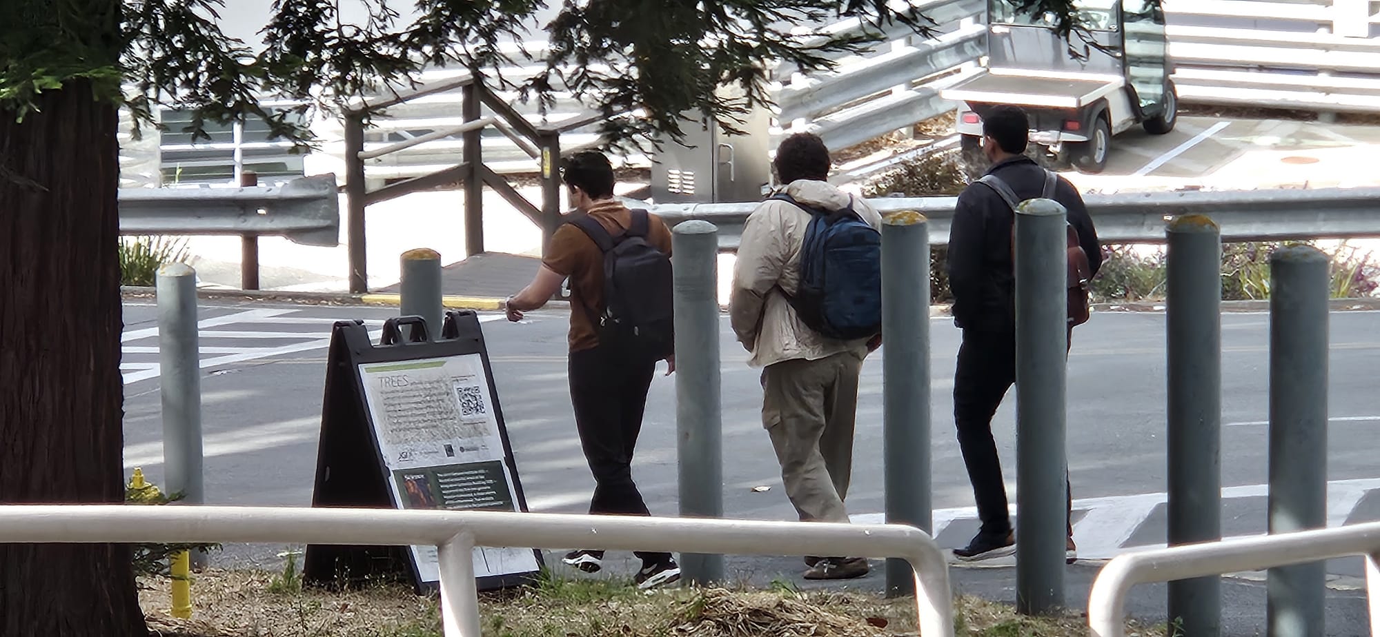 Berkeley 8