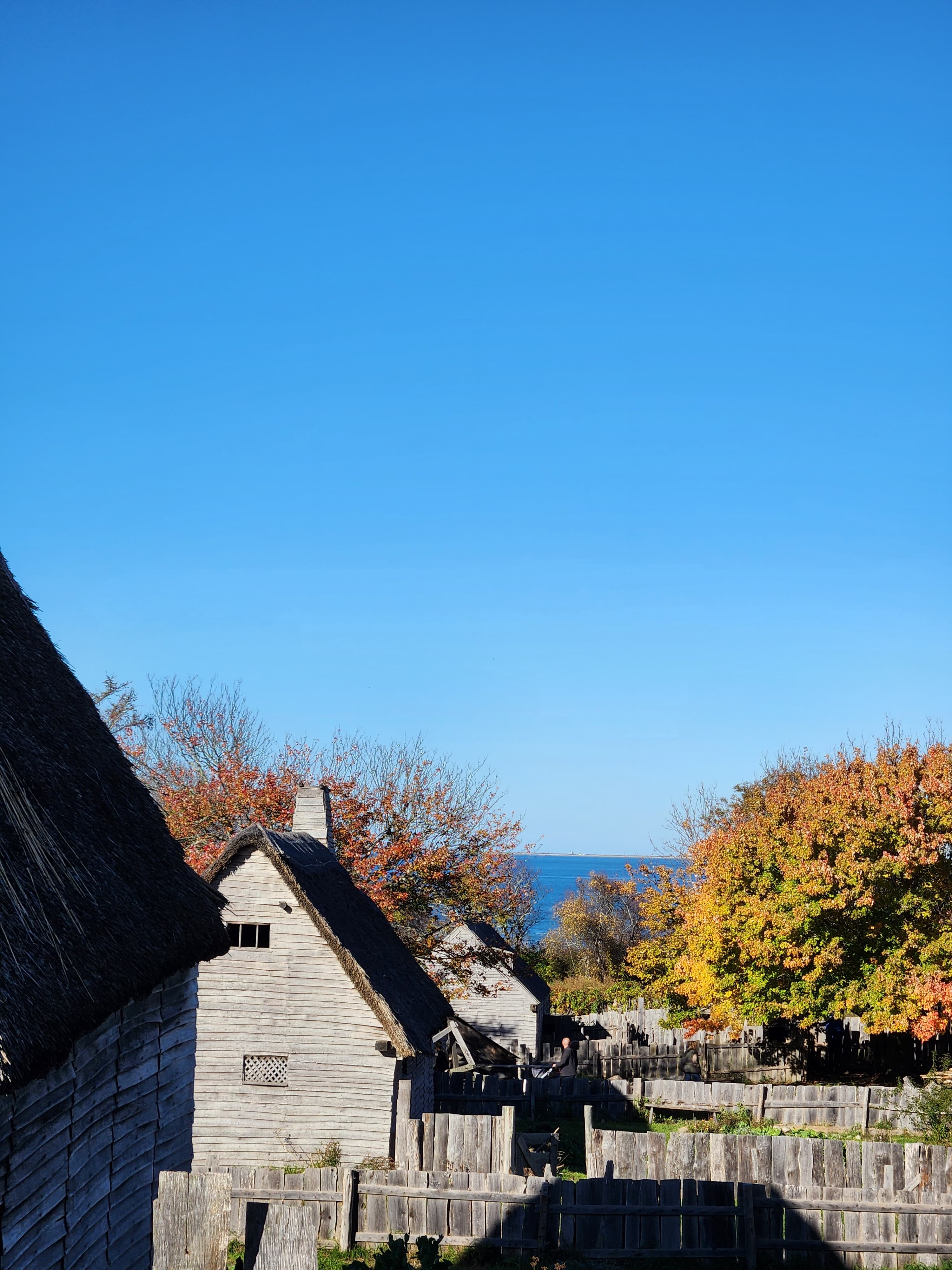 Wooden houses surrounded by autumn trees