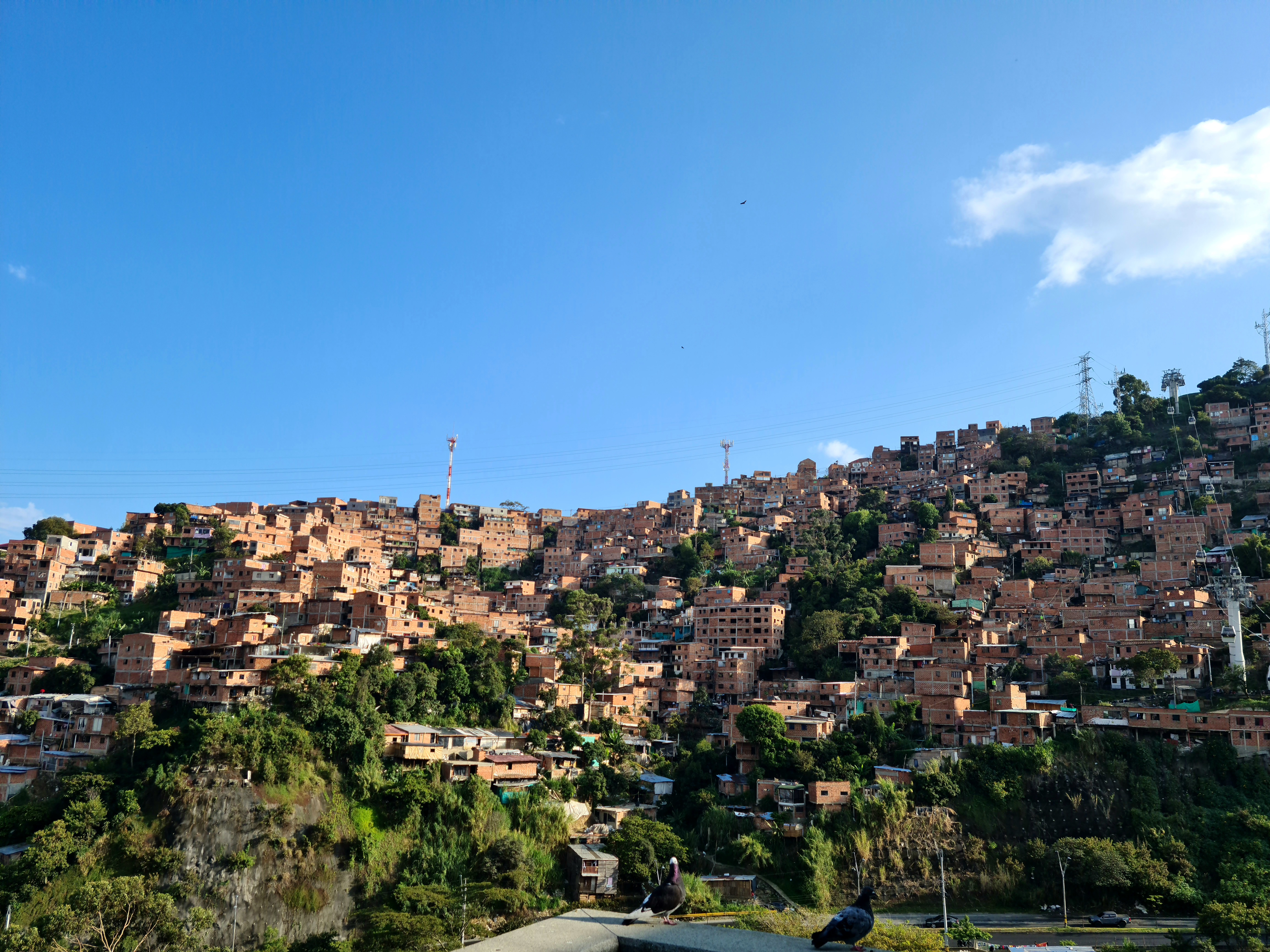 Medellin 6