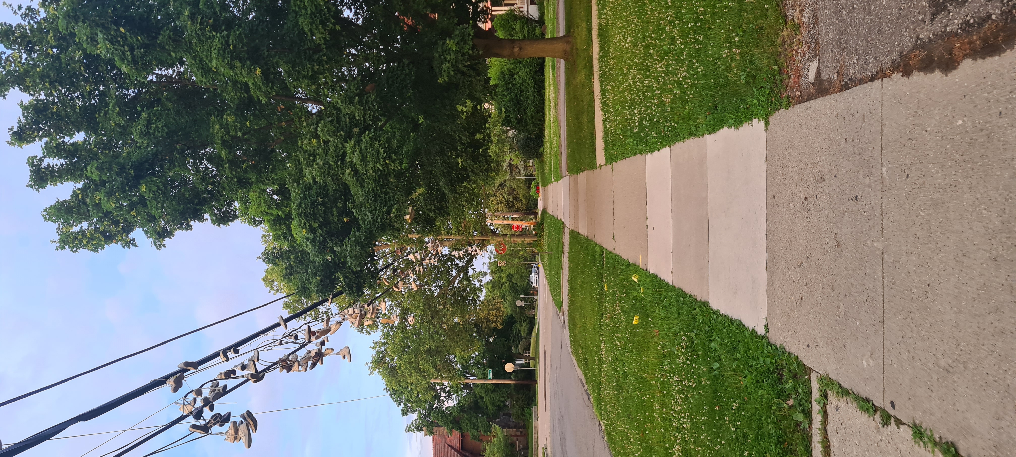 Michigan 6