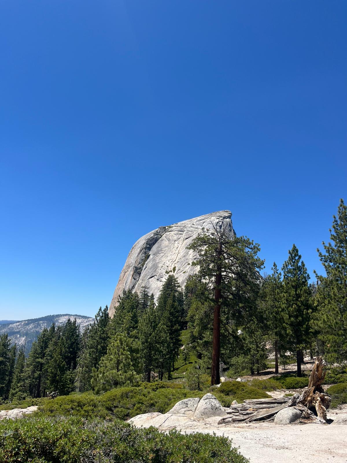 Yosemite 17